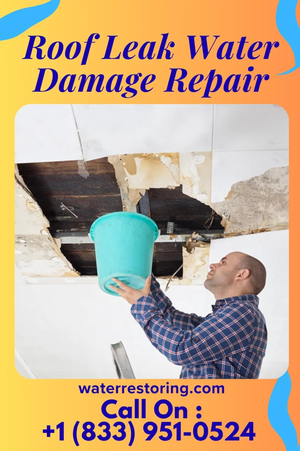 Roof Leak Water Damage Repair in Otterbein, IN