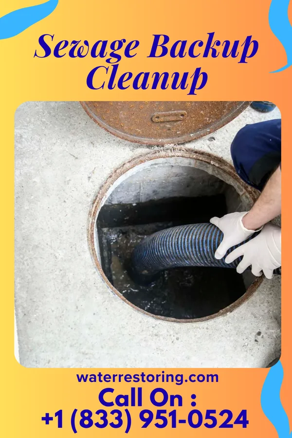 Sewage Backup Cleanup in Otterbein, IN
